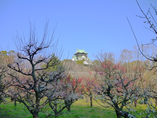P1000628_R