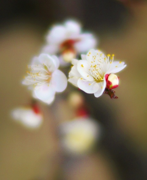 P1080485_R