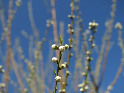P3010078