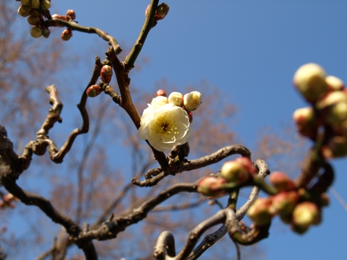 P1064731
