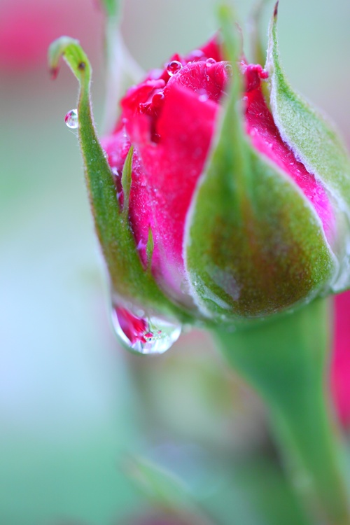 P1020068_R