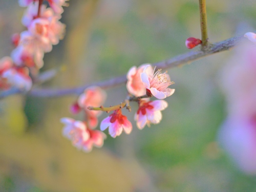 P1000504_R