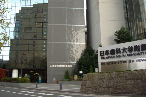 DSC07380 コピー