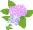 紫陽花と蛙