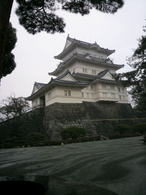 2012030512350000