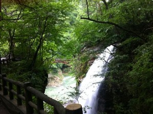 IMG_8662