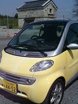 smart