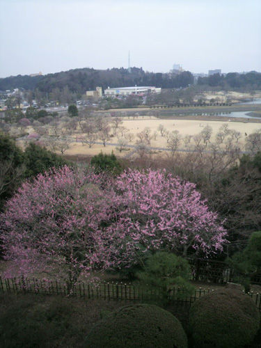 2011022716310000