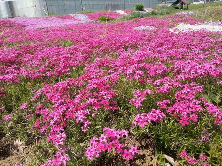 20140427_103703