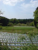 20100516140355