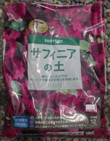 サフィニアの土