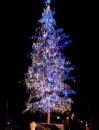 blue-light