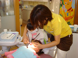 DSC07190 コピー