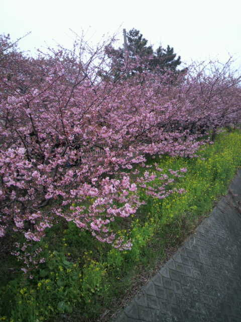 2012030414420000