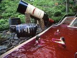 wine_ph2