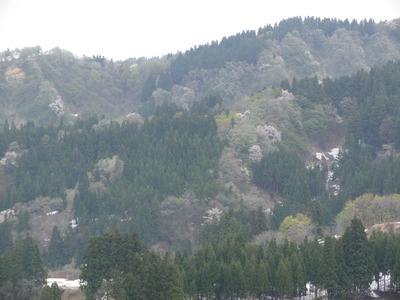 IMGP0469