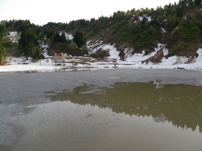 IMGP0521