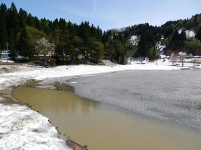 IMGP0480
