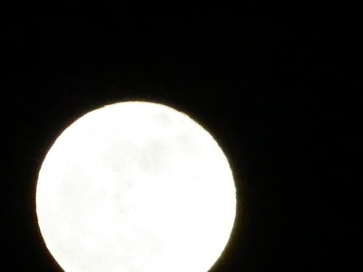 IMGP0603