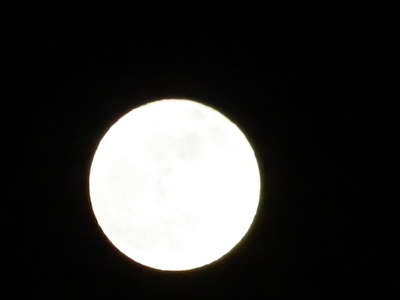 IMGP0605