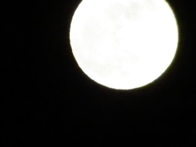 IMGP0602