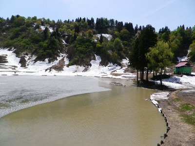 IMGP0478