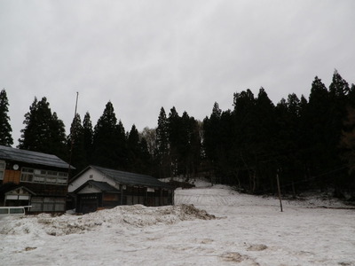 IMGP0377