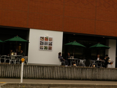 IMGP0554
