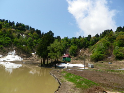 IMGP0571