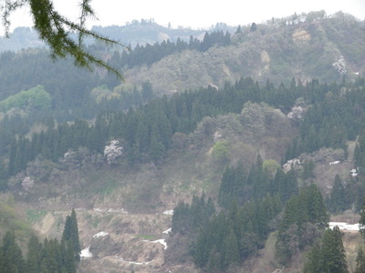 IMGP0470