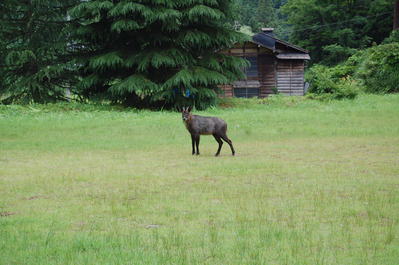 DSC_0004s