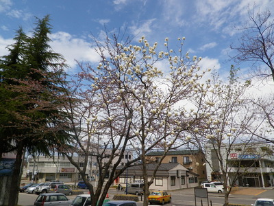IMGP0380