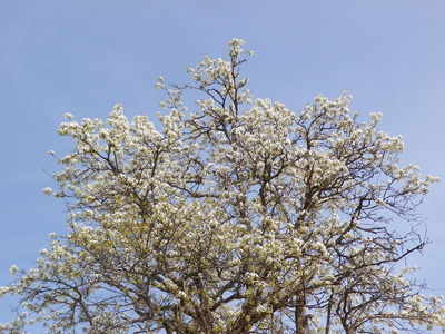 IMGP0506