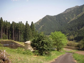 奥津12