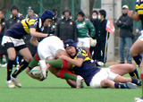�⹻�饰�ӡ��������(���ҿ�ë.vs.�����)