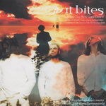 it bytes