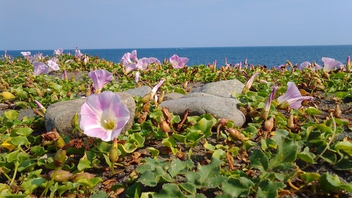 KIMG0040a