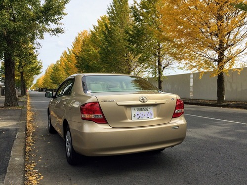 LND_4B6FBEB7-BB85-480C-8CF5-DAB9F0EF4AA2