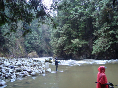 Capilano River2