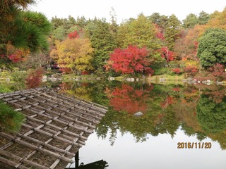 CIG_IMG018