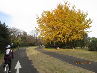 CIG_IMG027