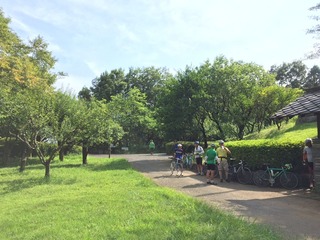 一本杉公園
