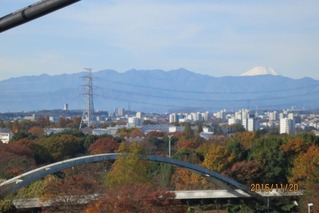 CIG_IMG004