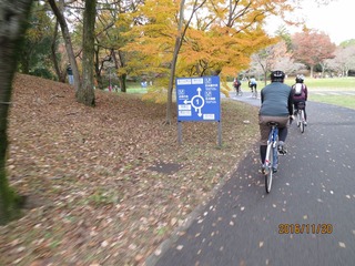 CIG_IMG025
