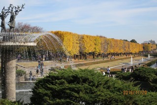 CIG_IMG010