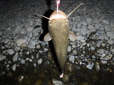 DSCF4657