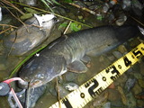 DSCF4728
