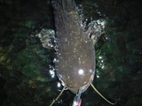 DSCF4708