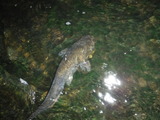 DSCF4689