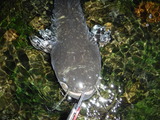 DSCF4812